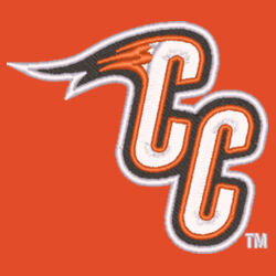 Snapback Trucker Cap Design